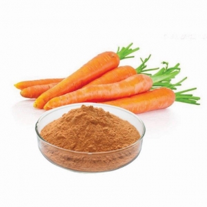 Healthy Foods Carrots II-01