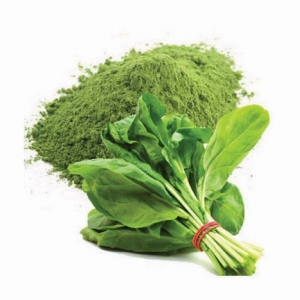 Healthy Foods Greens spinach II-03