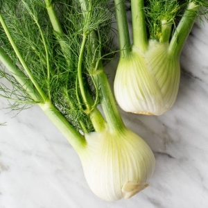 fennel-500x500