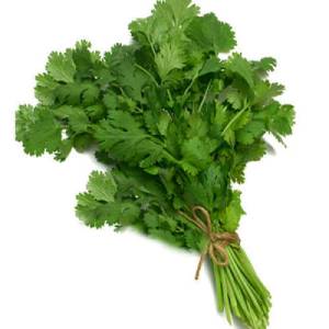 fresh-coriander-leaves-500x500-1
