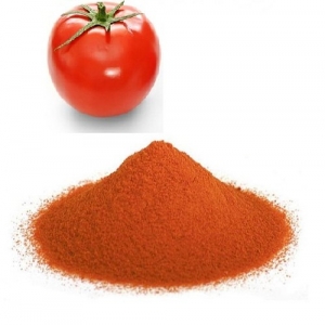 spray-dried-tomato-powder-1604292830-5623523